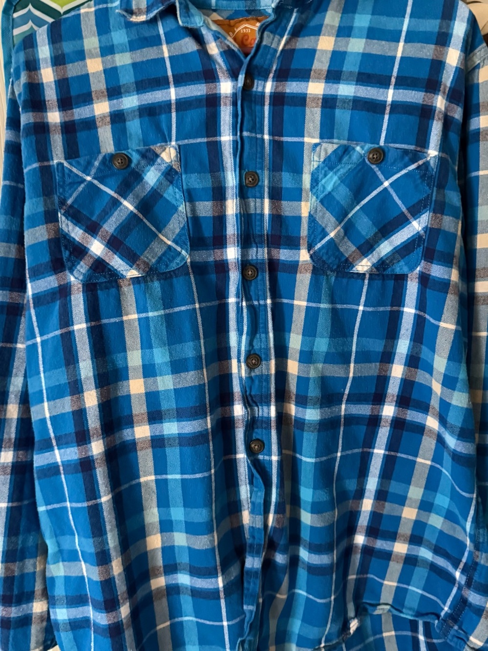Red Camel Blue Plaid Men's Button-Down Shirt